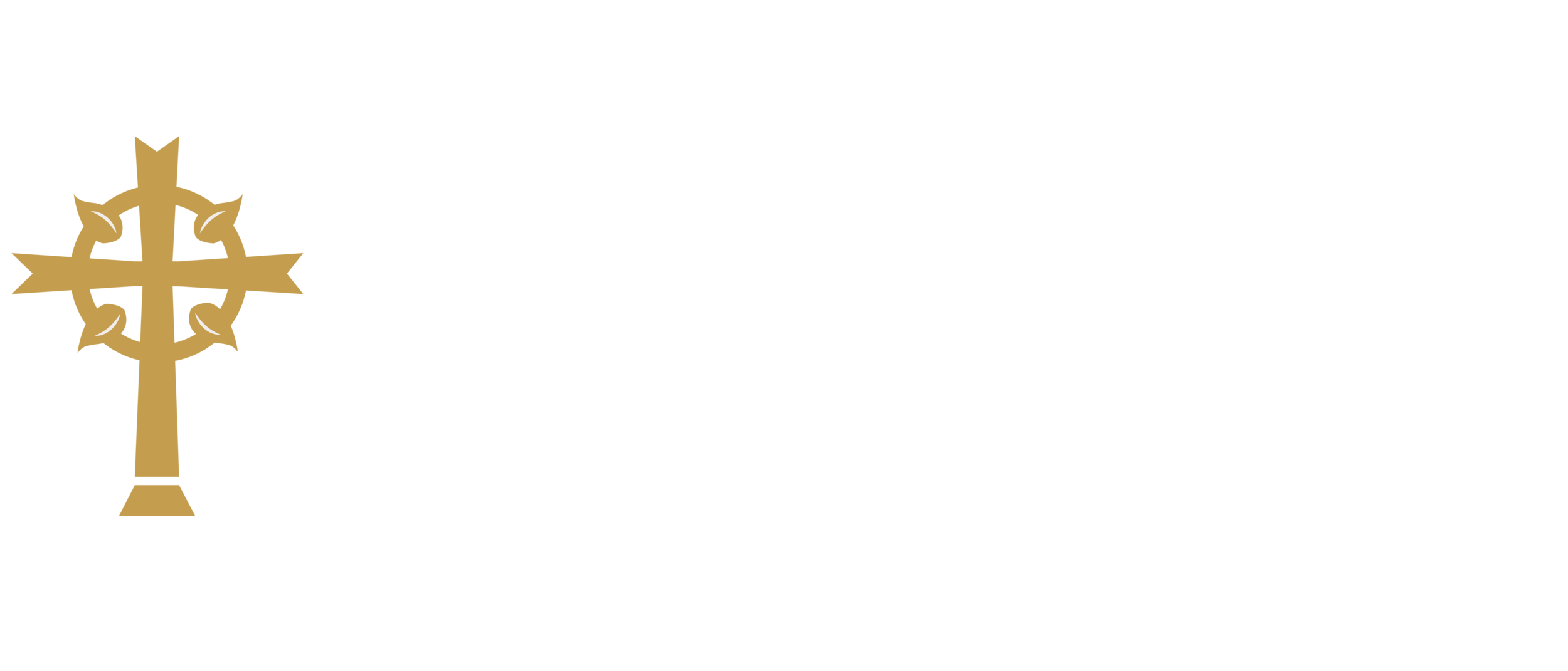 New City Fellowship