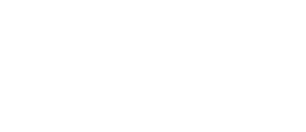 The Fischer Group