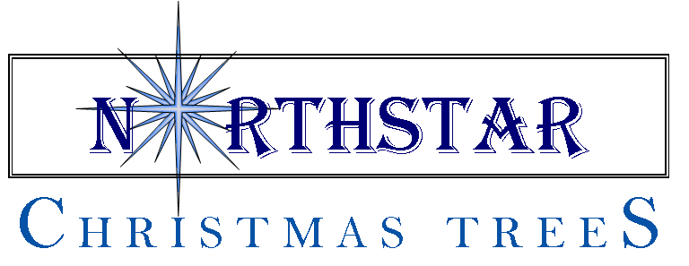 NorthStar Christmas Trees