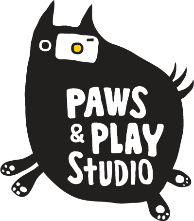 Paws and Play Studio