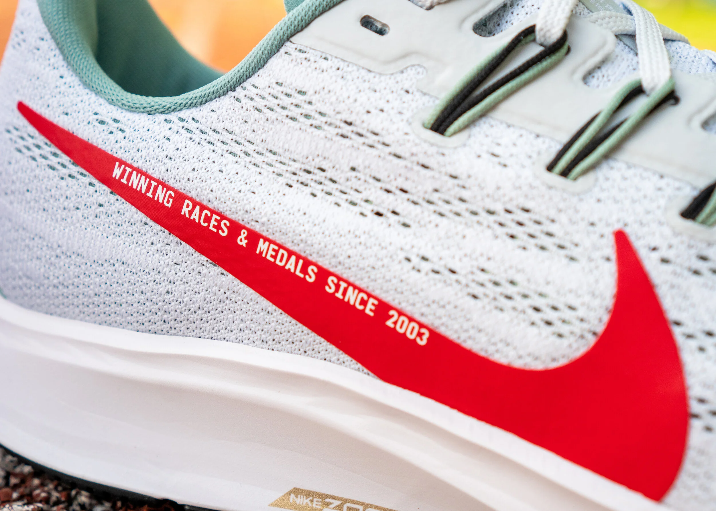 nike air pegasus 2003