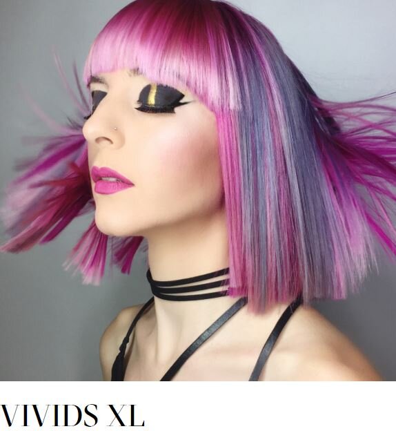 Pravana Chromasilk Vivid Xl Hair Color 8 45 Oz Dyebox