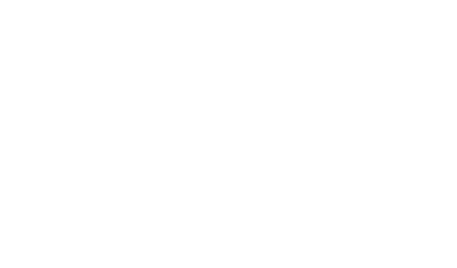 Lindsey Foss Therapy