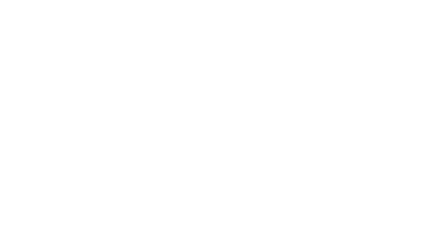 Devyn Bryant MSN, RN, CRRN, NE-BC, LLC