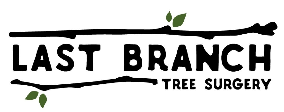 Last Branch Tree Surgery