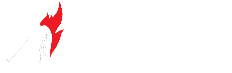 Molotov Editions