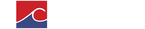 N.I. Cameron Inc. Chartered Professional Accountants
