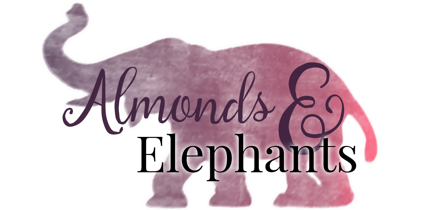 Almonds & Elephants