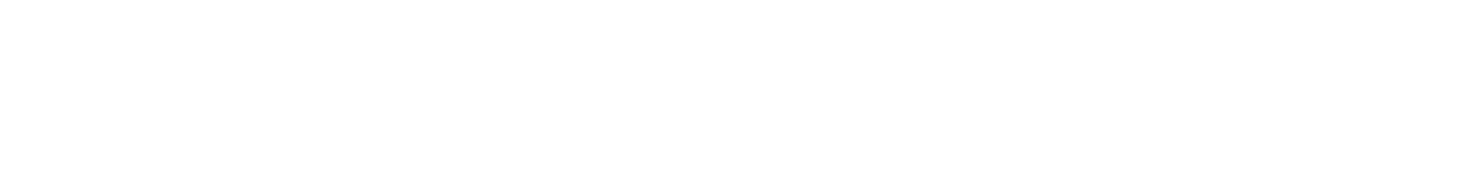 Bluzone