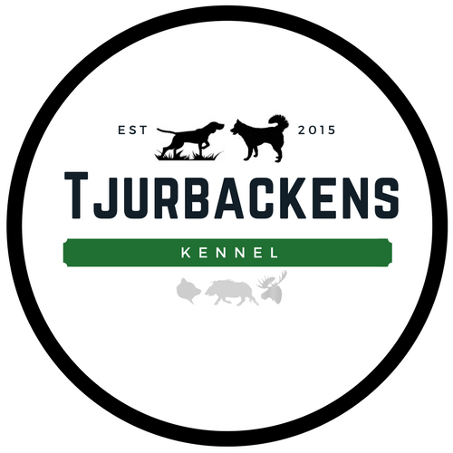 Tjurbackens Kennel