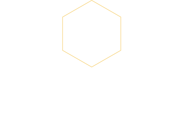 APIS Honey Kombucha