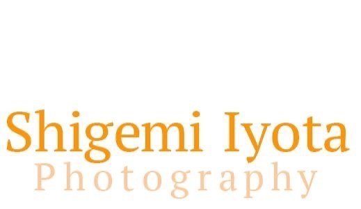 Shigemi Iyota   Photography