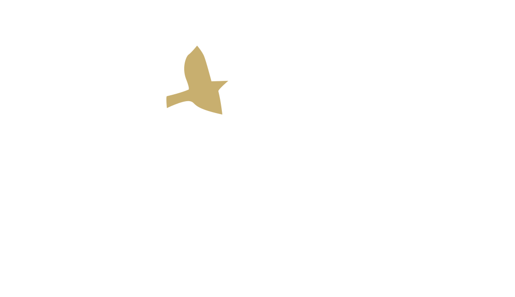 Robin Barnes Music