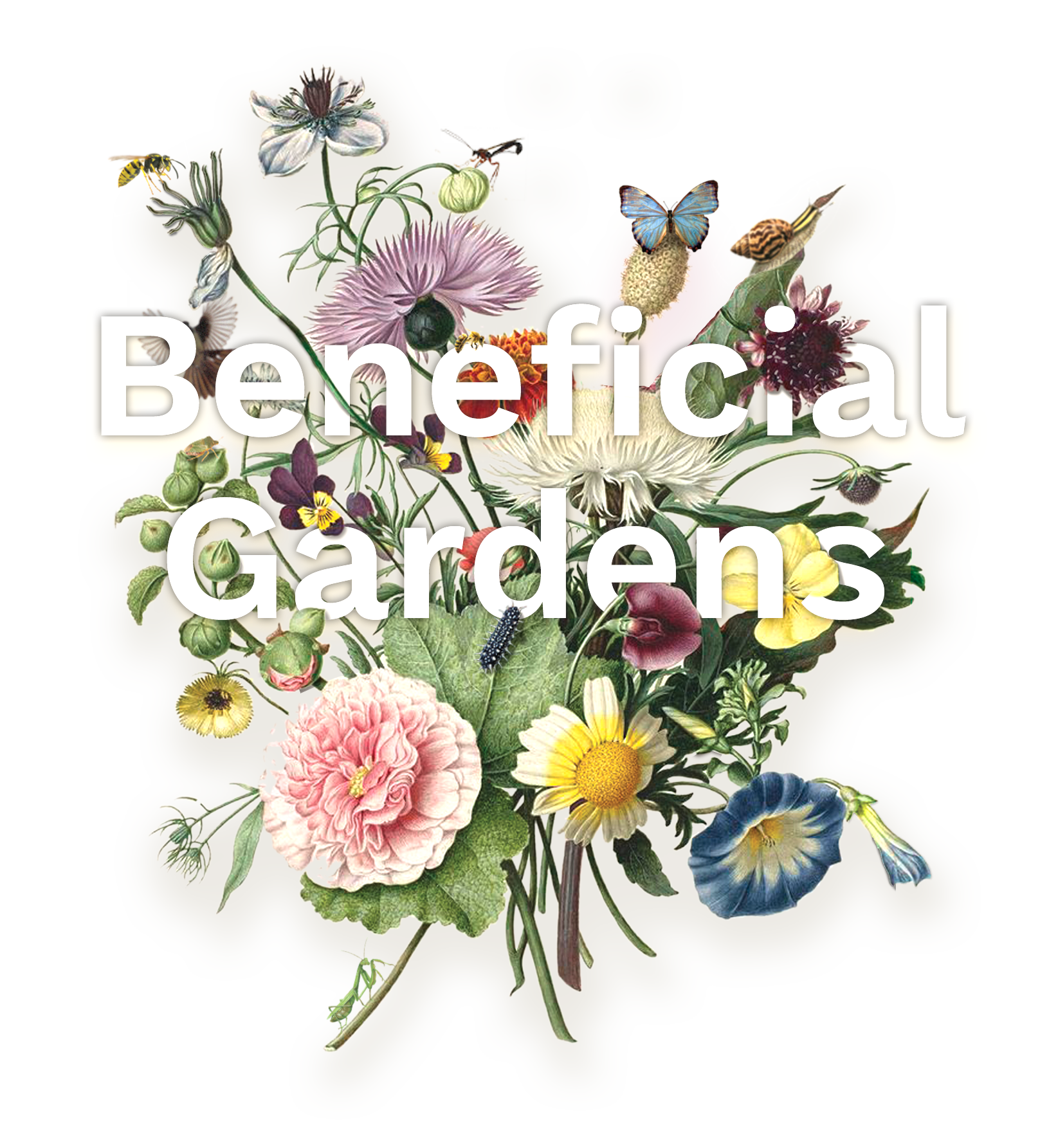 Beneficial Gardens