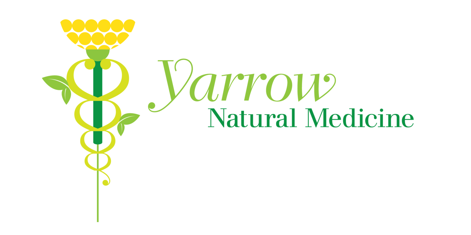 Yarrow Natural Medicine                            