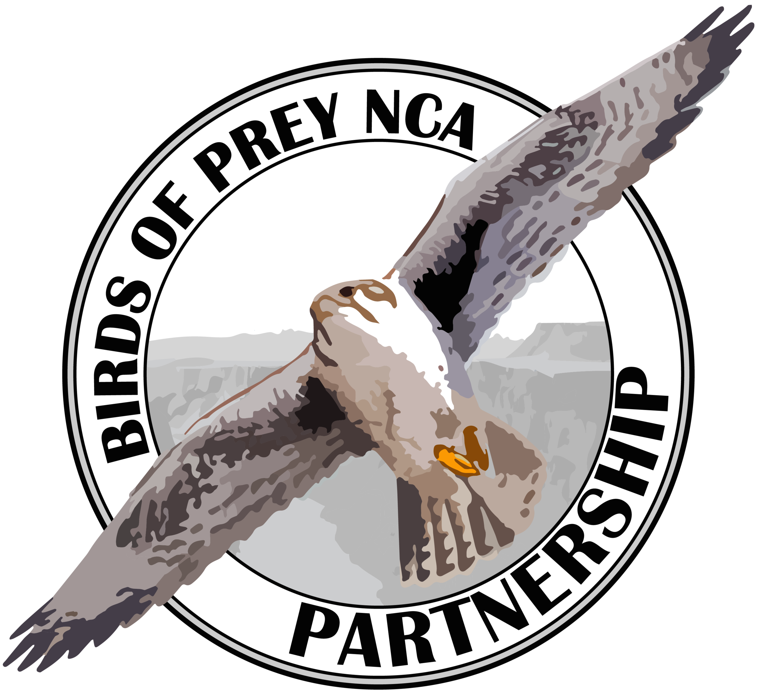 Birds of Prey NCA Partnership