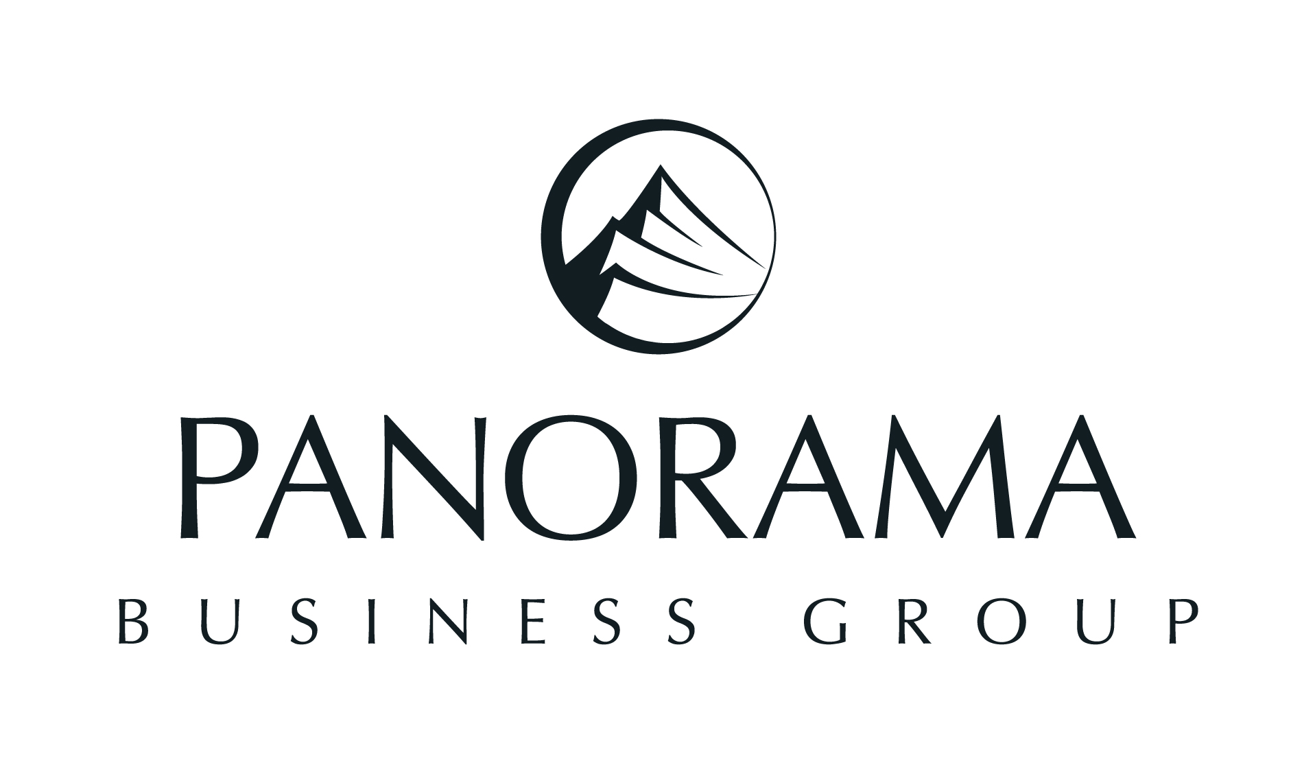 Panorama Business Consulting