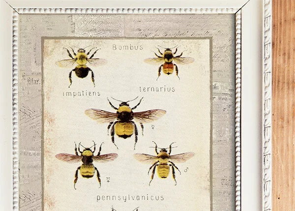 Vintage Bee Garden Book Plate Wall Art Print