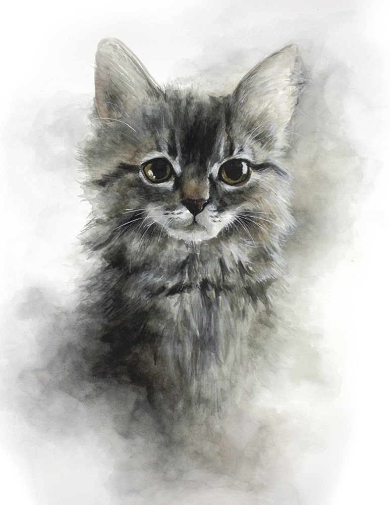 Soft Kitten Print Mallory Hart