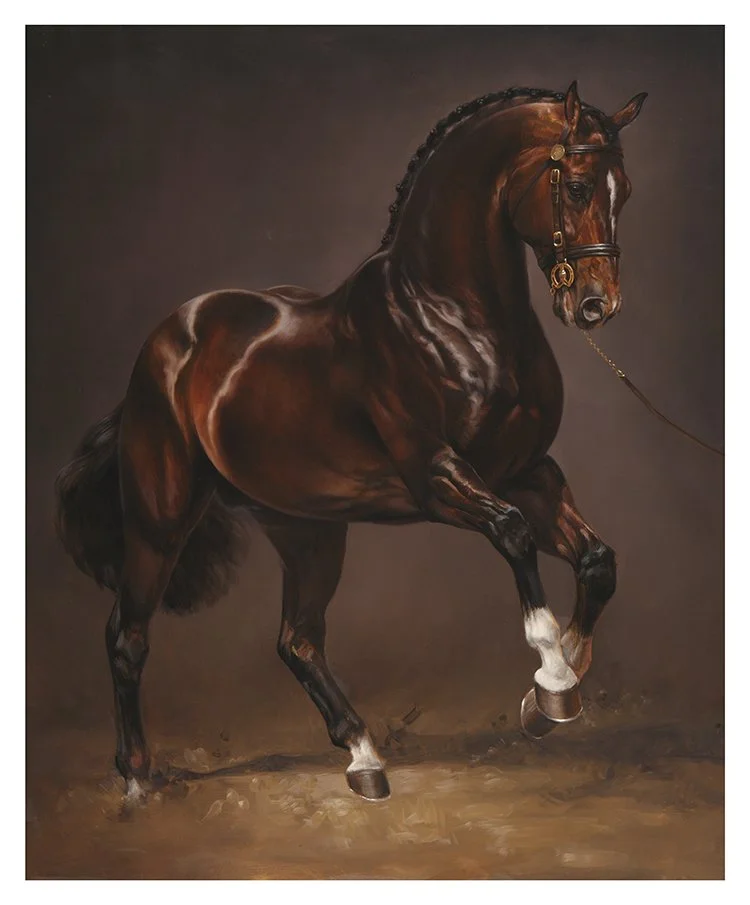 Bay Stallion" — Jaime Corum Equine Art