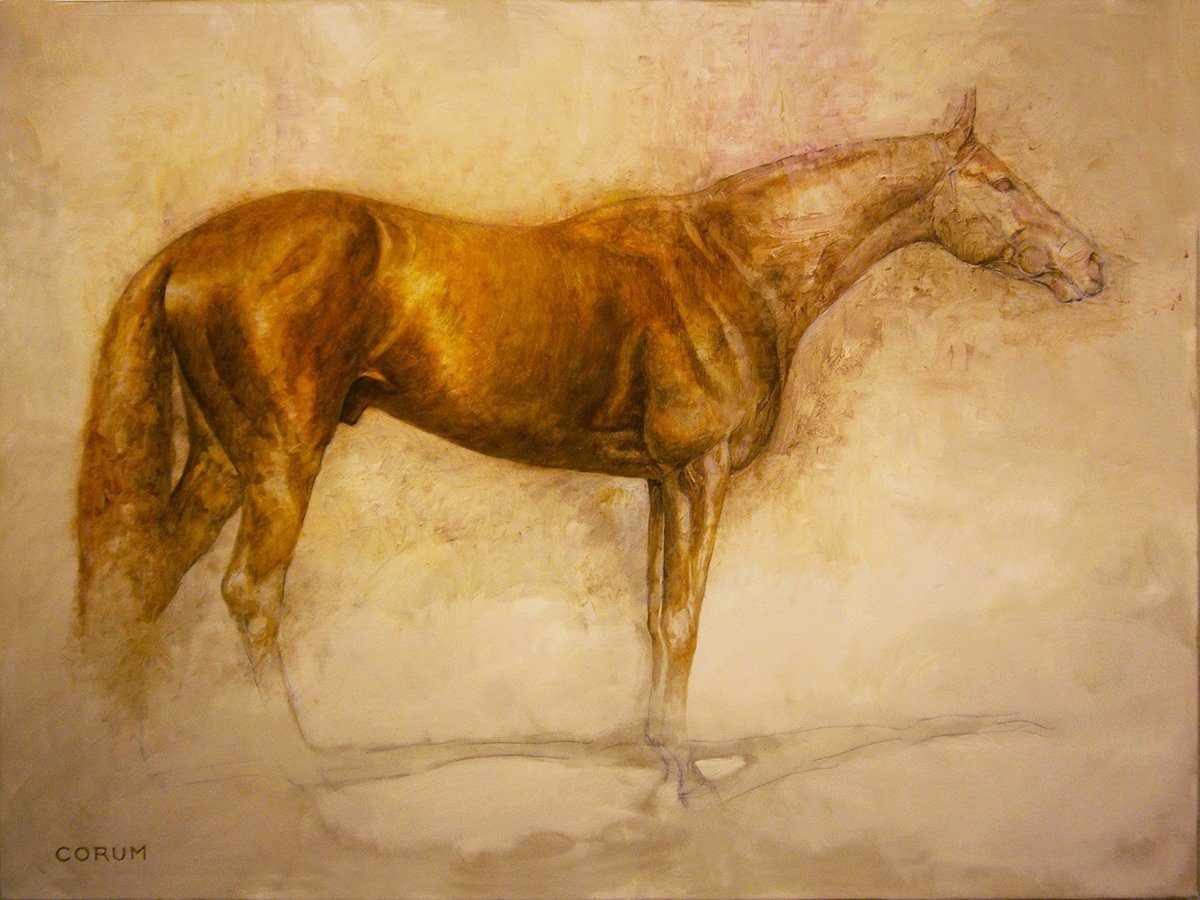 Jaime Corum Equine Art