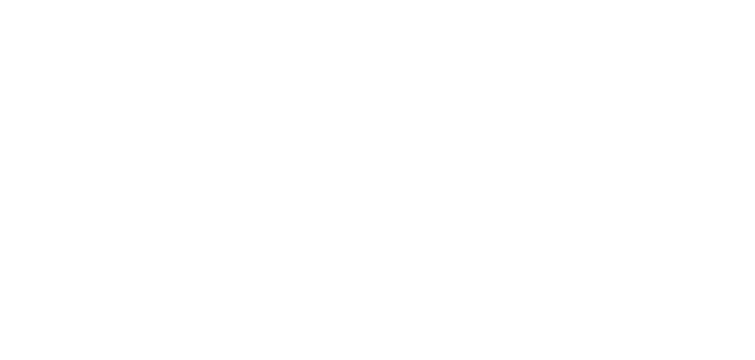 The Wild Son NYC