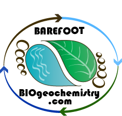 Barefoot Biogeochemistry