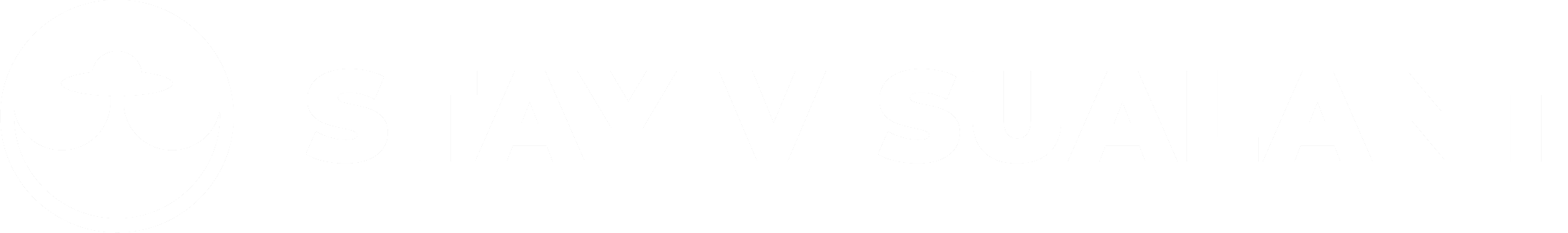 STAY VISUALANT LLC