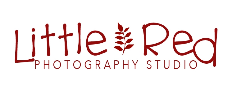 Little Red Photography Studio