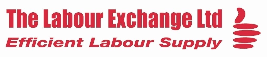 The Labour Exchange Ltd