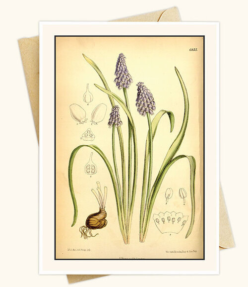 Original Art Lavender Note Card