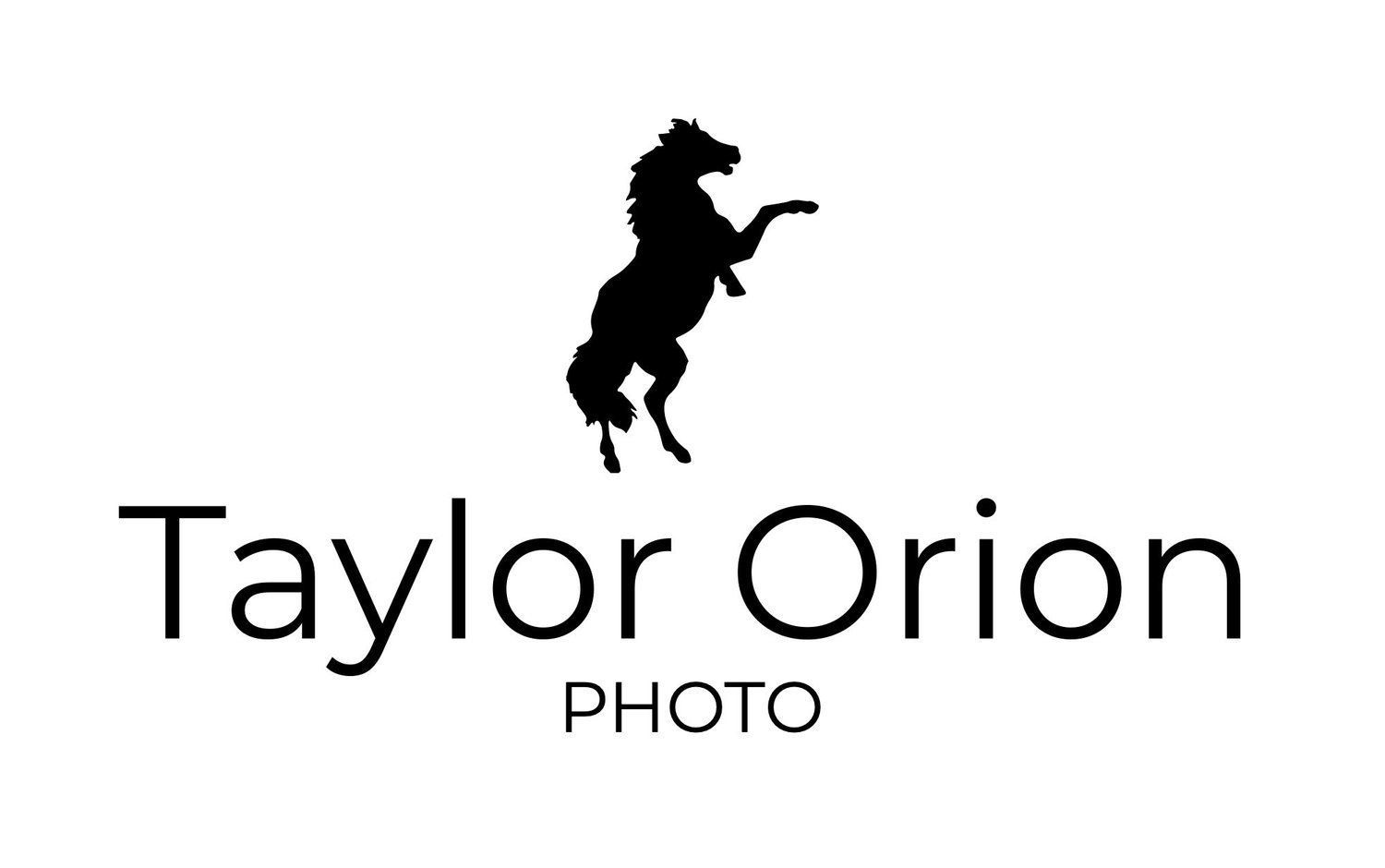 Taylor Orion