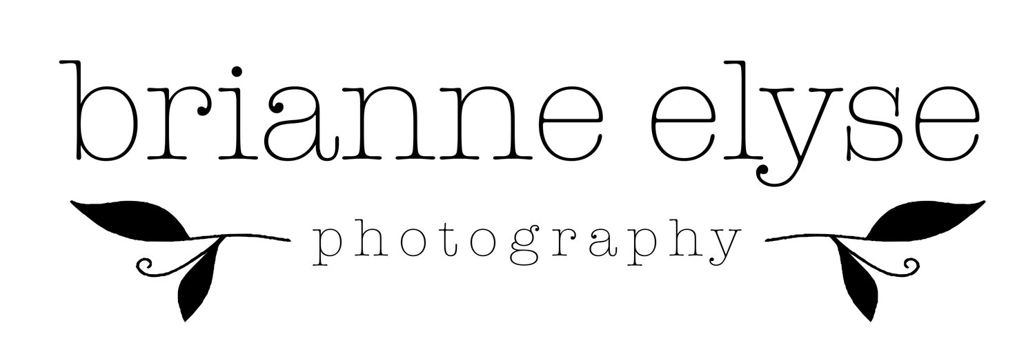 Brianne Elyse Photography