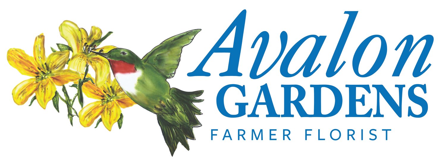 Avalon Gardens Farmer Florist