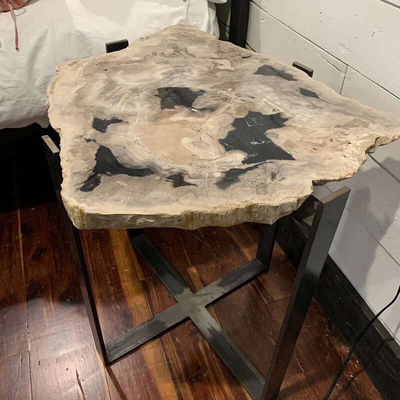 Petrified wood 2024 table top