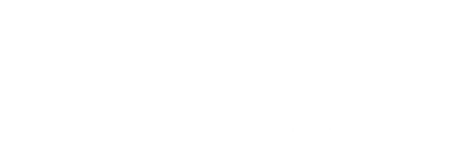 FurFace Pet Portraits