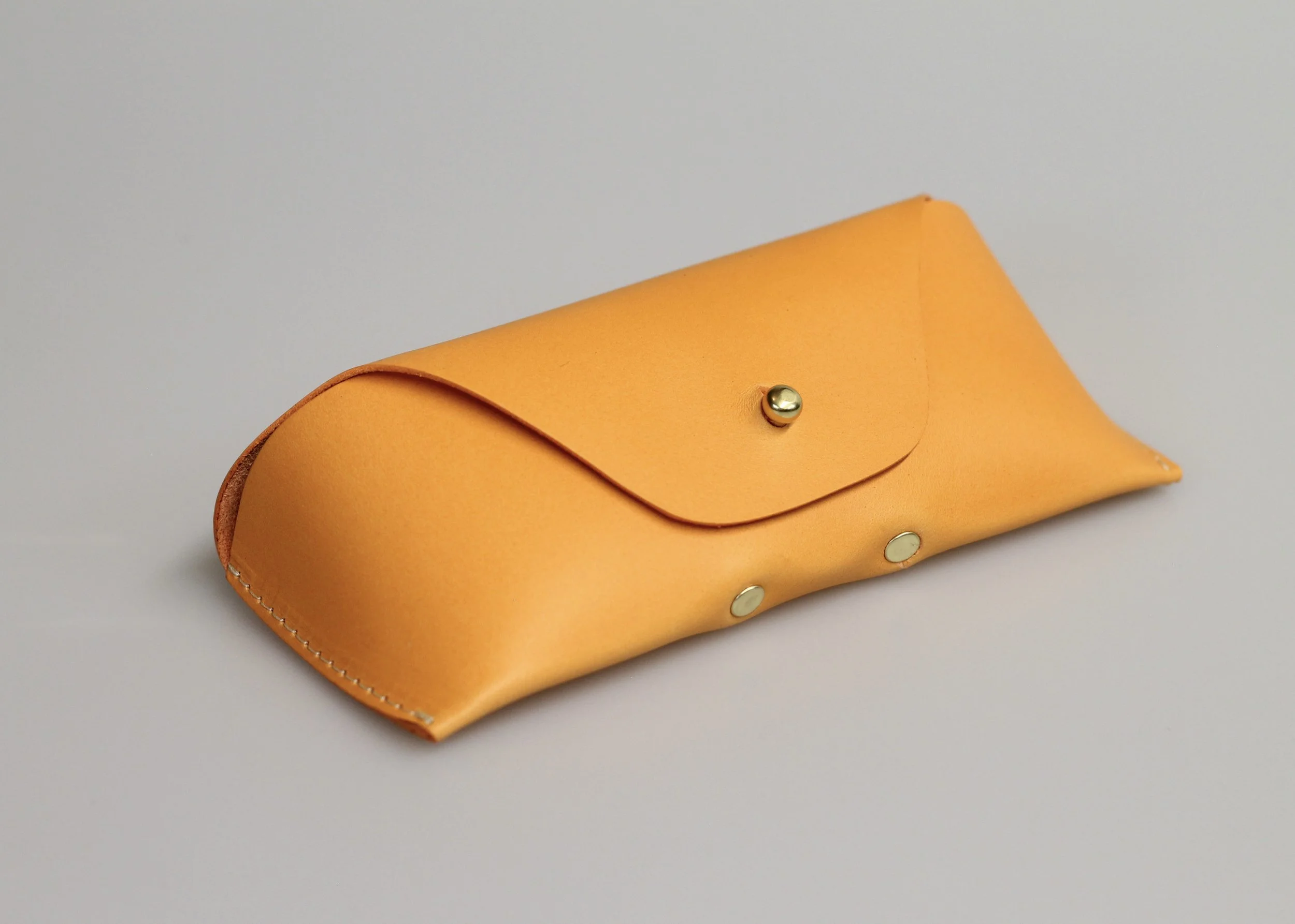 BRIEFING ブリーフィング FUSION EYE WEAR CASE Tiger007 2 in 1 Glasses Case,Dual Glasses Case for Two