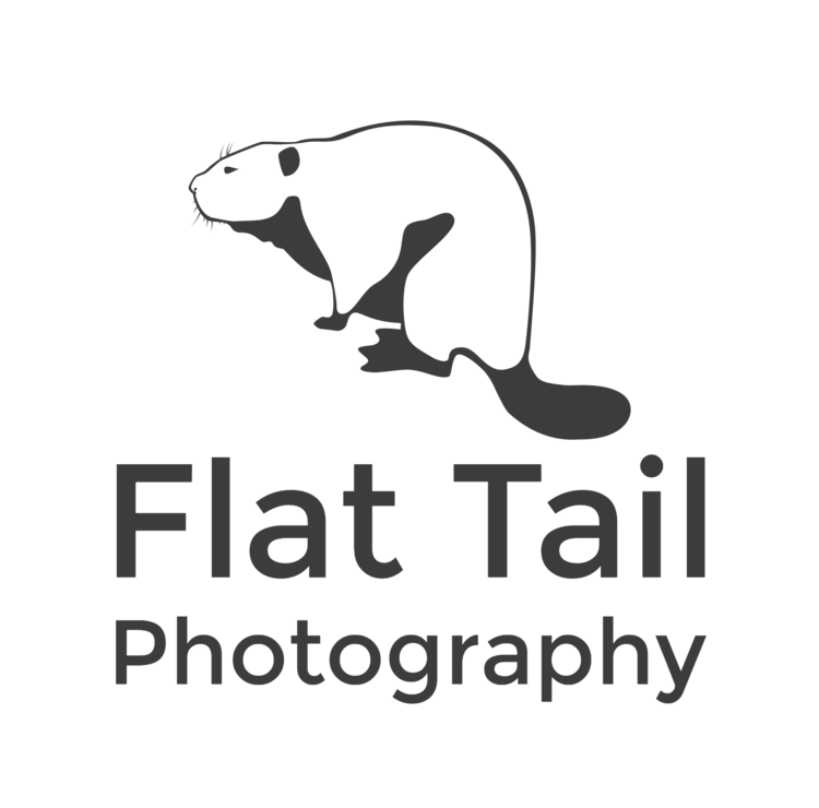 Flat Tail Photography