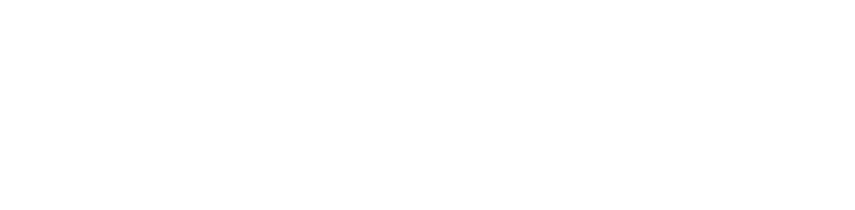 Dr. Cindy Bressler House Call Veterinarian