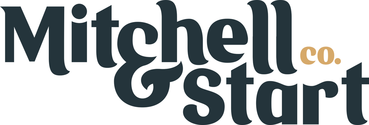 Mitchell &amp; Start Films