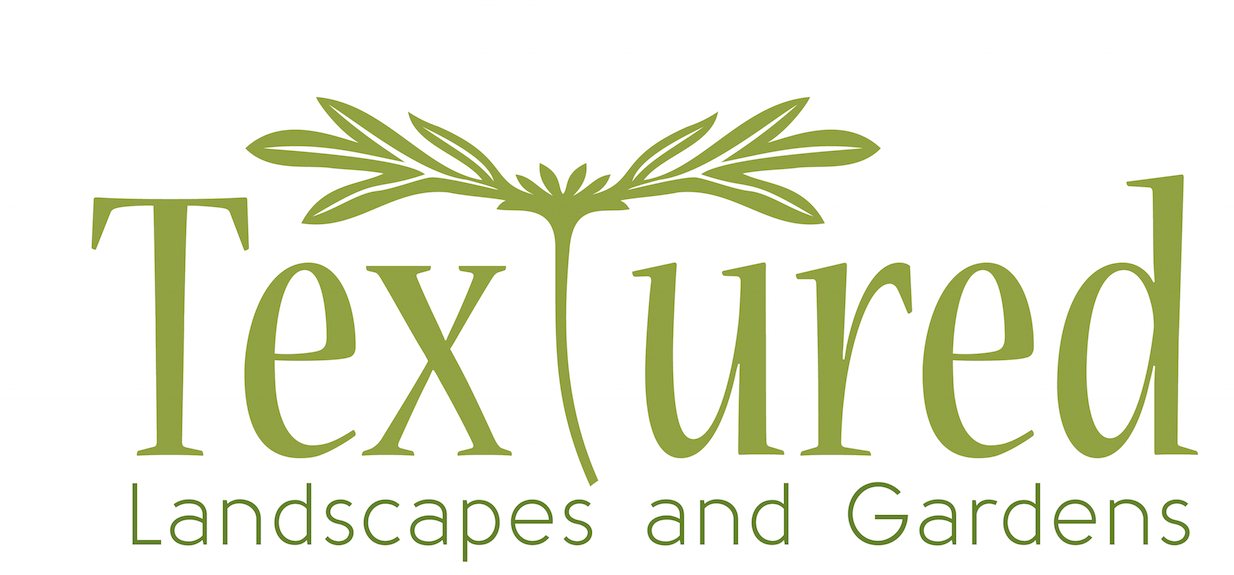 Textured Landscapes and Designs