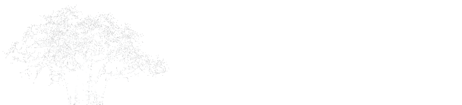 Pan African Capital Group