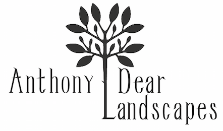 Anthony Dear Landscapes