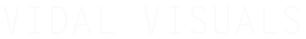 Vidal Visuals