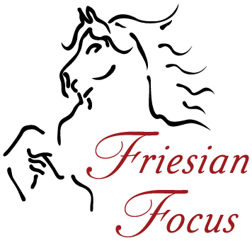 Friesian Focus