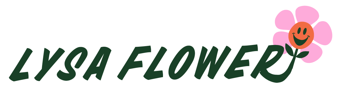 LYSA FLoWER