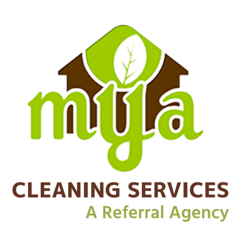 Cleaning Services (2).png