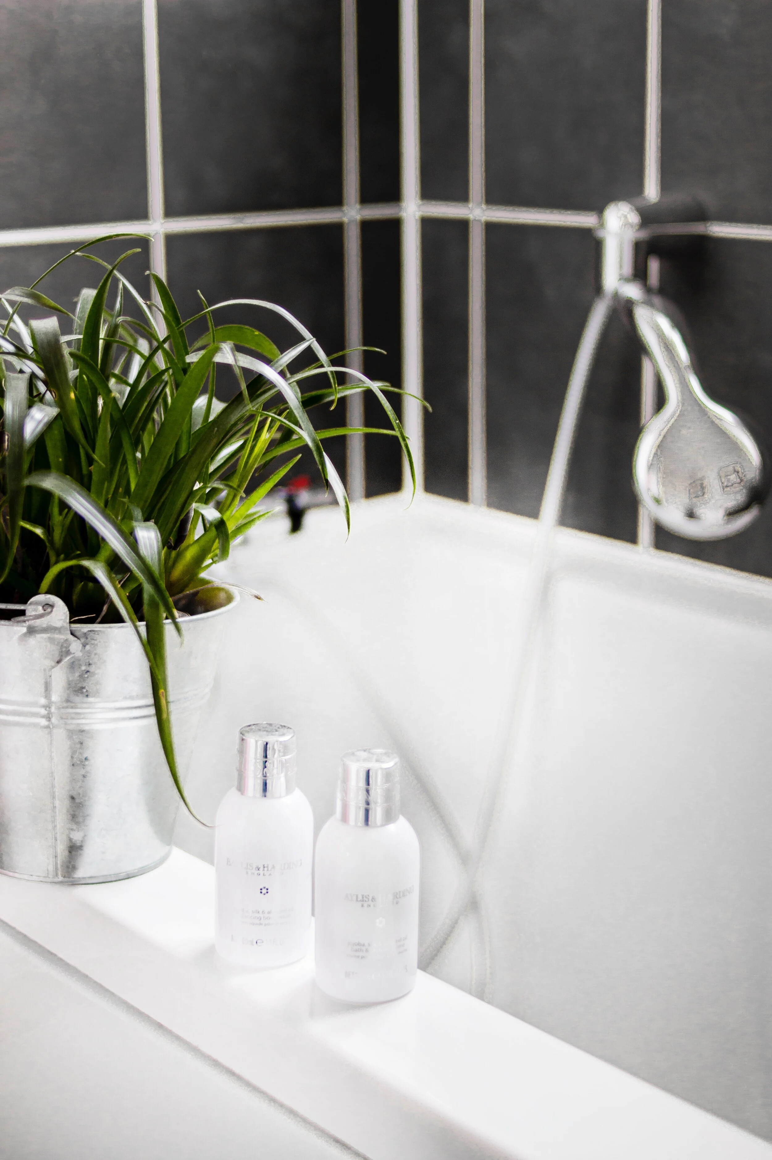 two-white-bottles-beside-potted-plant-on-bathtub-2008269.jpg