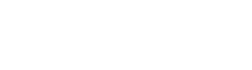 The Business Forum