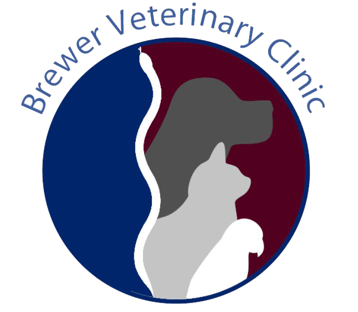 Brewer Veterinary Clinic